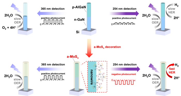 Working principle of spectrally distinctive photodetection.