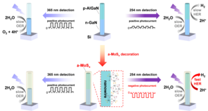 Working principle of spectrally distinctive photodetection.