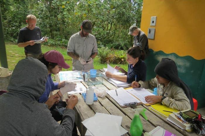 Fieldwork in Panama
