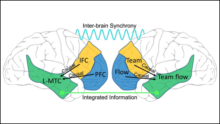 About  Brain Waves Association U of T