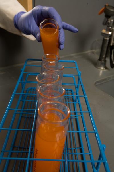 Orange Liquid