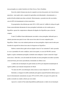 Brazilian cattle supply chain release PORTUGUESE page 2