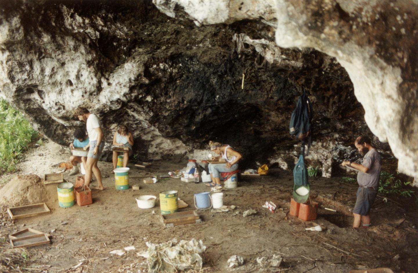 Henderson Island excavation site