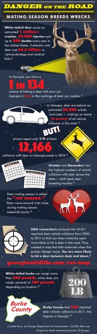 Deer Collision Graphic