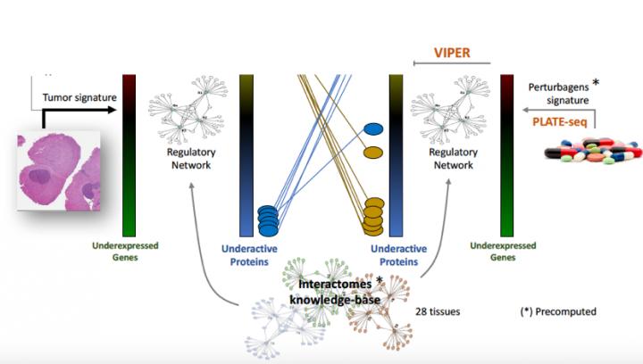 Schematic Diagram for the OncoTreat Clinical Pipeline