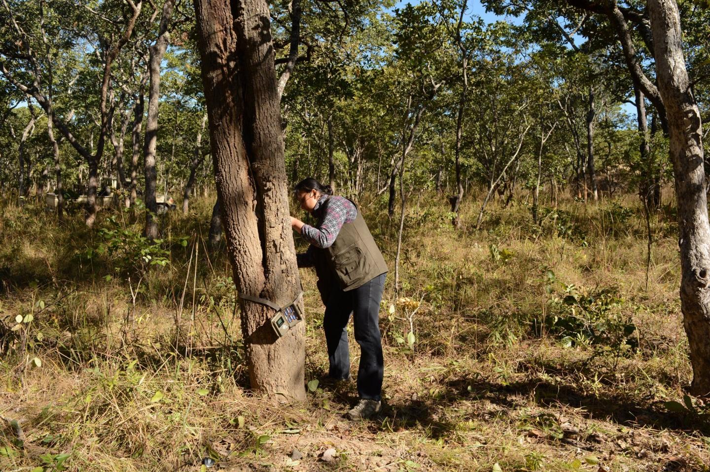 Devarajan in the Field