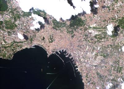 ALOS Views the Gulf of Naples, Italy