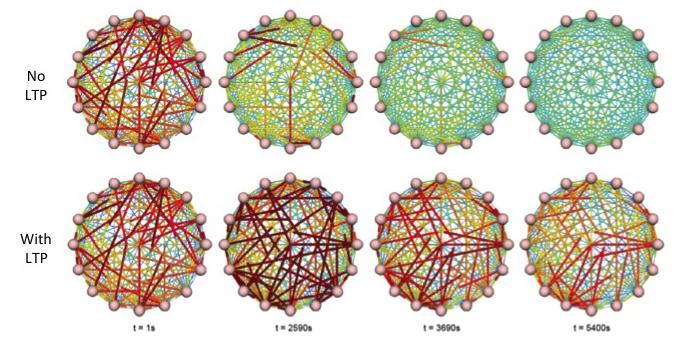 How Sleep Helps Us Learn and Memorize