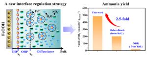 A new interface regulation strategy for high ammonia yield