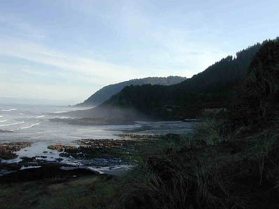 Rocky Intertidal Zone