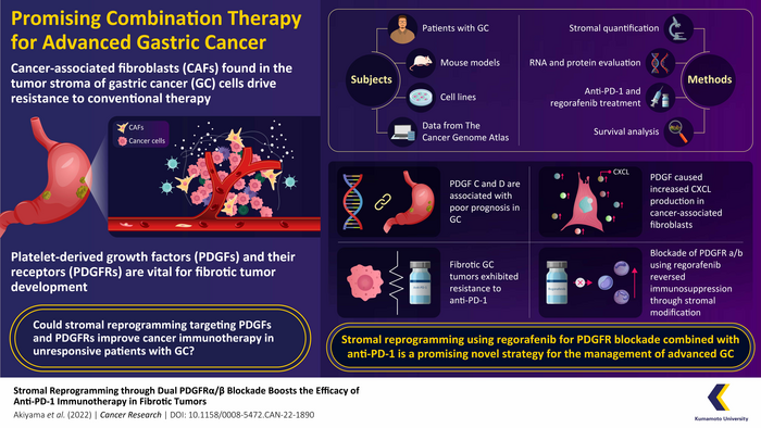 Combination of regorafenib and anti-PD-1: Effective against fibrotic tumors