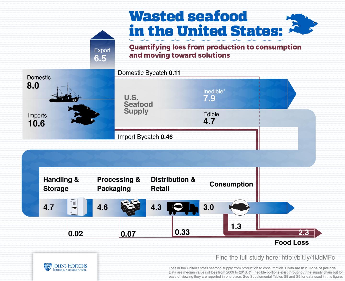 Seafood Waste in the US