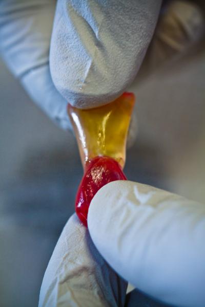 Self-Healing Hydrogels