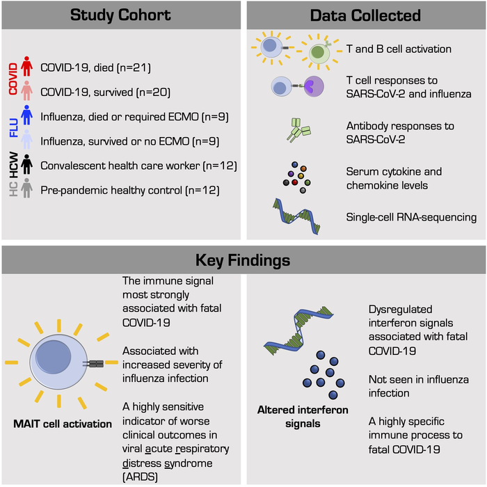 MAIT Cell Activation May Play a Role in Fatal Outcomes Among Severe COVID-19 Cases