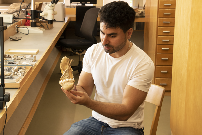 Bazzi and Tiger shark jaw