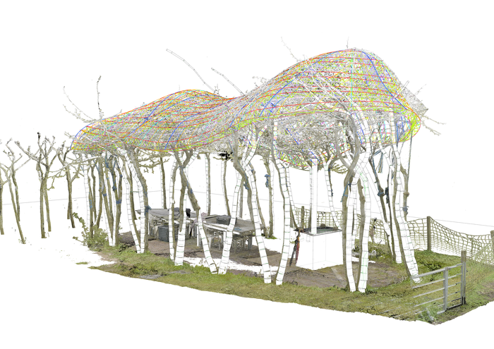 In order to also be able to plan with a living material, Ferdinand Ludwig and his team regularly create 3D scans of the tree stands.