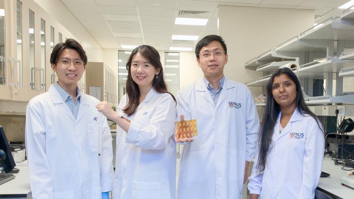 NUS and A*STAR researchers develop wearable, stretchable sensor for detection of solid-state skin biomarkers 1