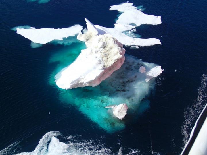 Arctic Continental Shelf Has Big Impact for World's Nitrogen Needs