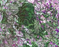 Landsat Satellite Image of the Mbaracayu Forest Biosphere Reserve