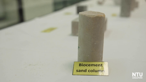 NTUsg scientists turn urine and industrial sludge into eco-friendly biocement
