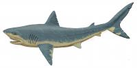 Artist's impression of a Squalicorax shark