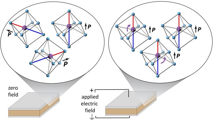 How Specific Atoms Move in Dielectric Materials