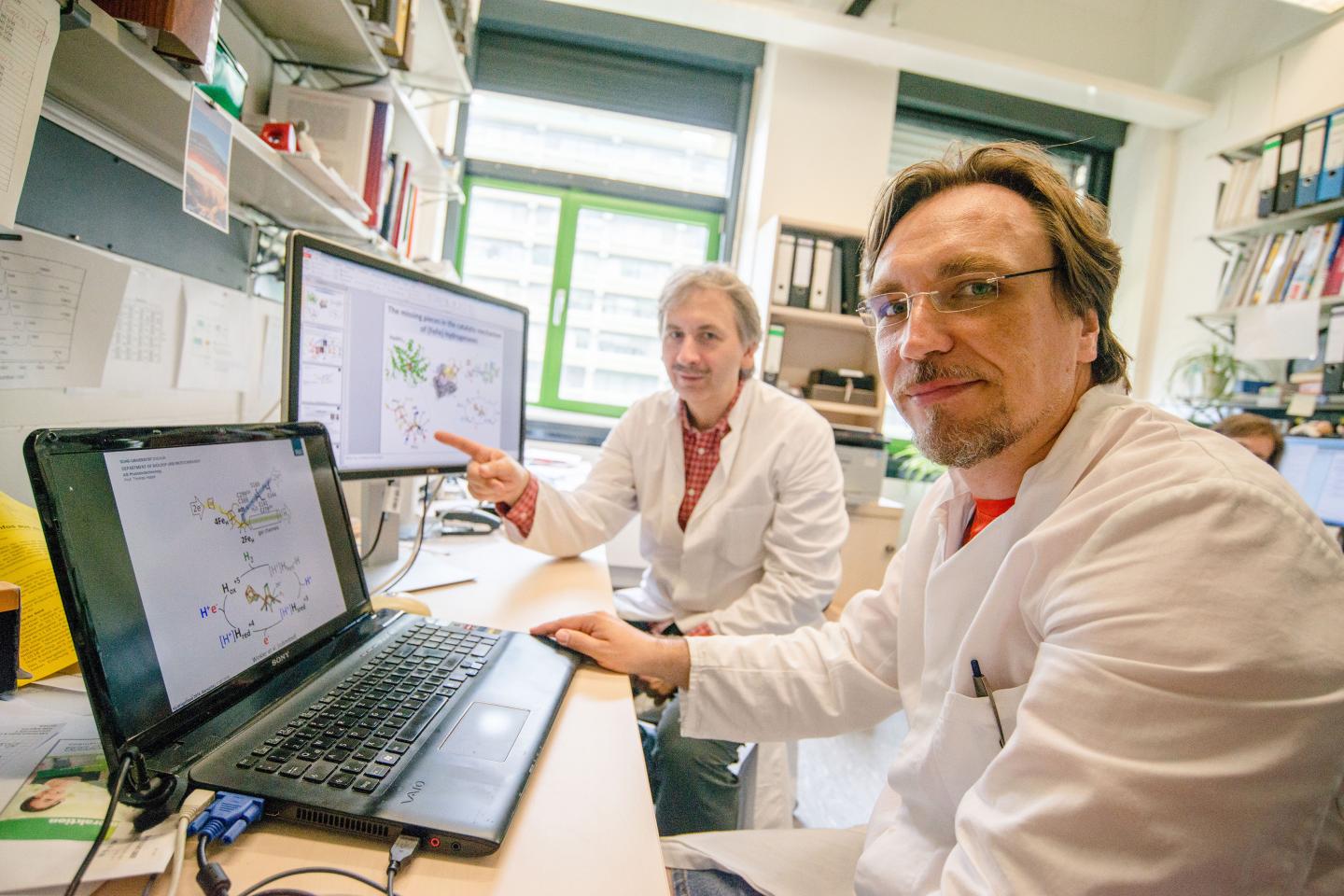 Martin Winkler and Thomas Happe, Ruhr-University Bochum