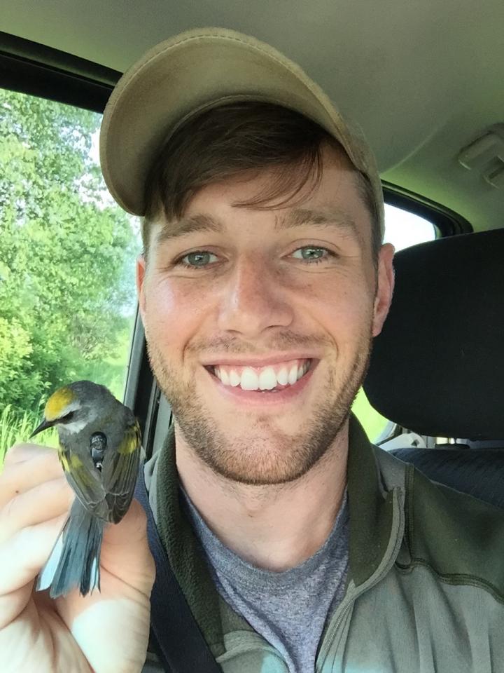 UToledo Researcher Holding Warbler with Geolocator