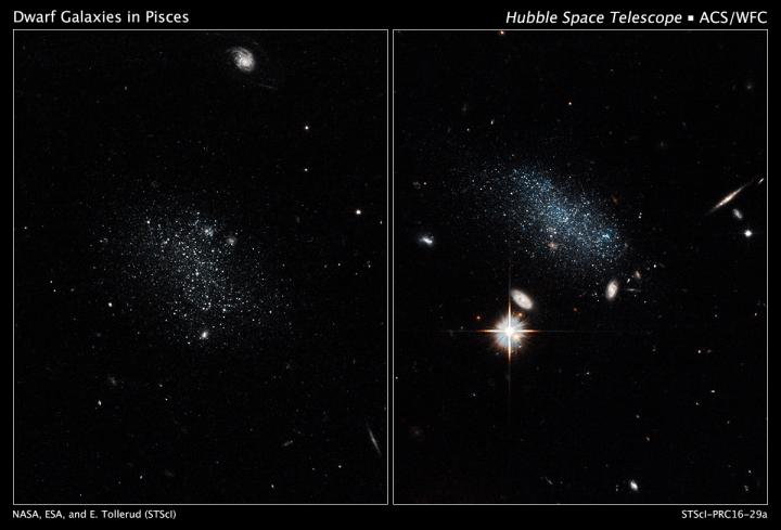 Dwarf Galaxies in Pisces