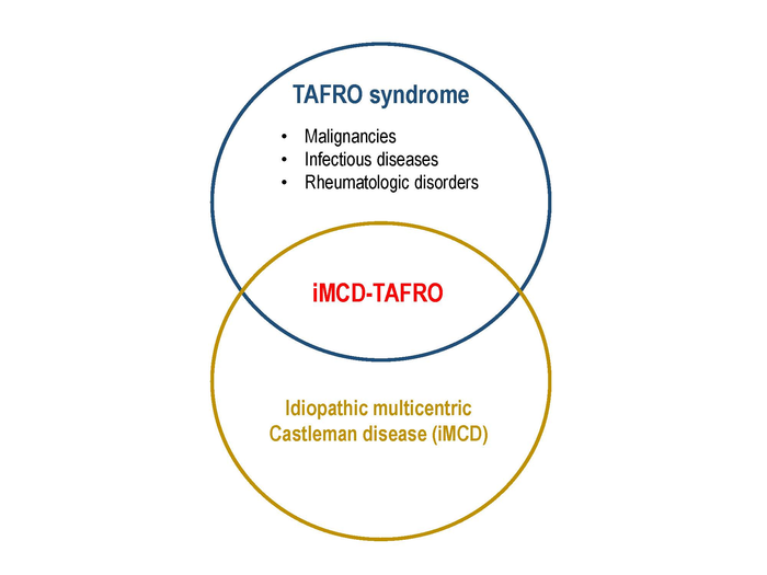 Concepts of TAFRO syndrome and iMCD-TAFRO