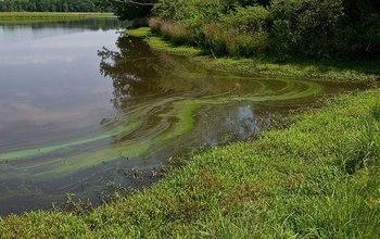 A New CNH project Looks at Rrban Stormwater.