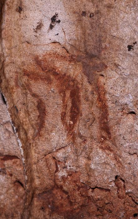 Two hinds heads painted in Cova Dones.