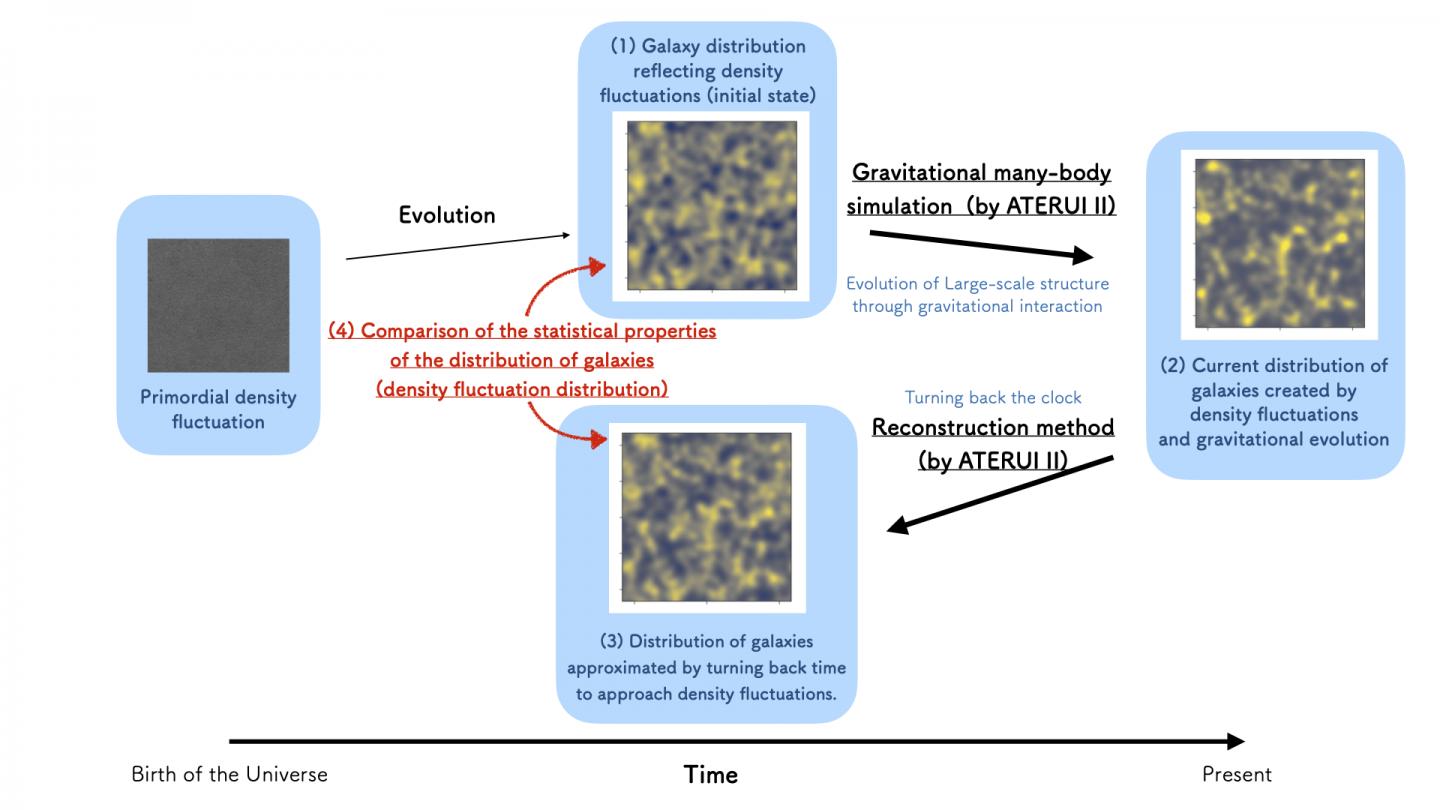 Conceptual illustration of this study