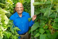Soybean Pioneer Ram J. Singh