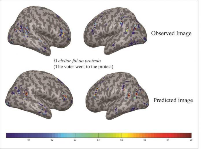 Brain "Reads" Sentences the Same in English and Portuguese