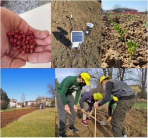 Young Farmers Grow