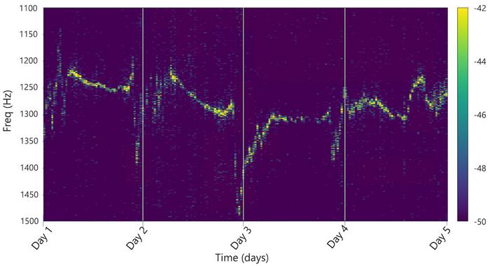 cicada acoustic spectrum