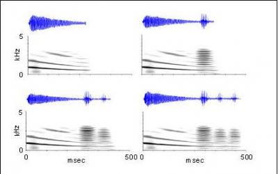 Female Frogs Unimpressed by Lo [IMAGE] | EurekAlert! Science News Releases