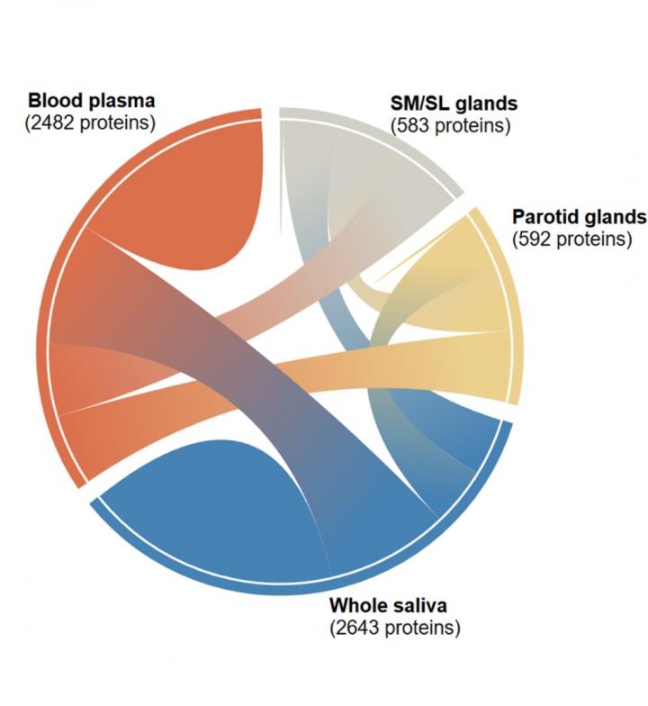 Human Salivary Proteome Wiki Diagram