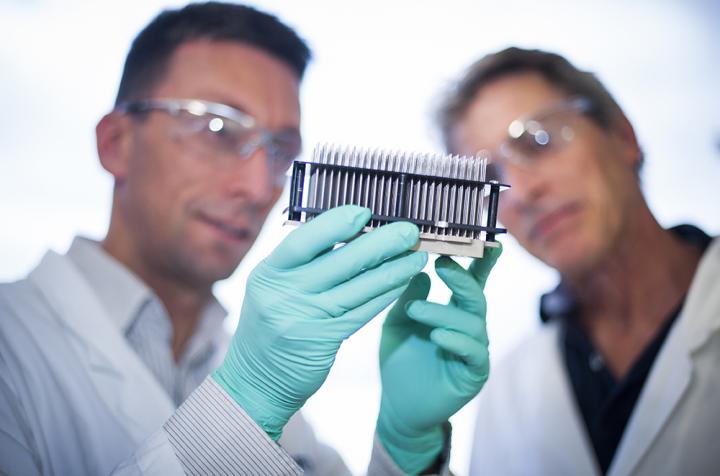 Dr Hendrik Falk and Associate Professor Ian Street, Walter and Eliza Hall Institute