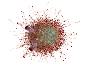 PPI network visualization