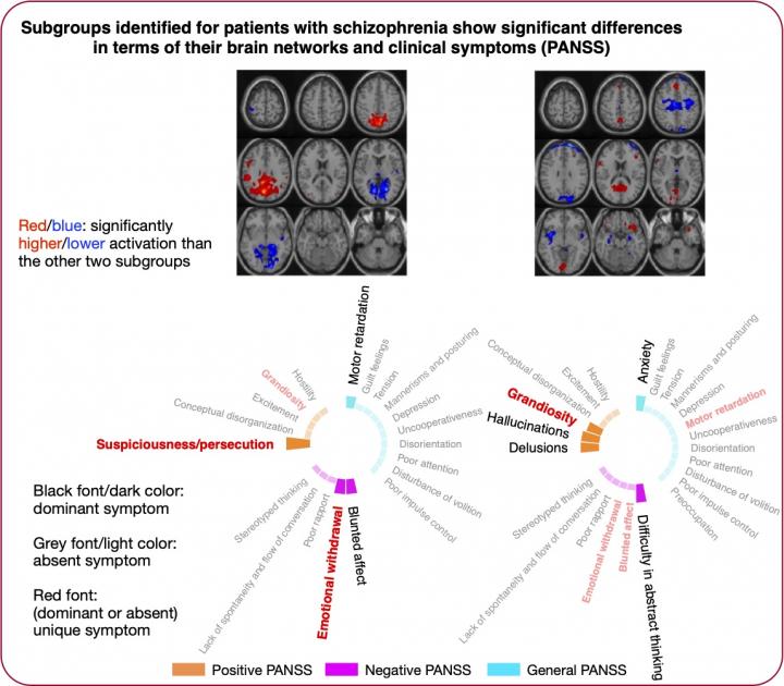 Subgroups Identified for Patients with Schizophrenia