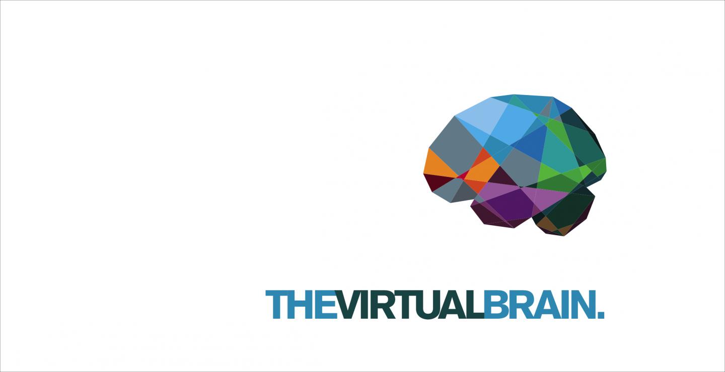 The Virtual Brain