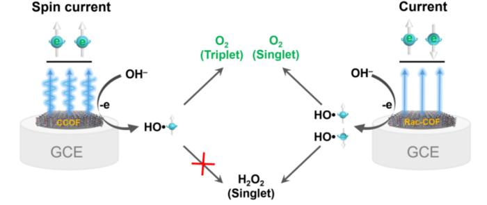 Schematic diagram of the spin-dependent catalytic OER of chiral and achiral COFs