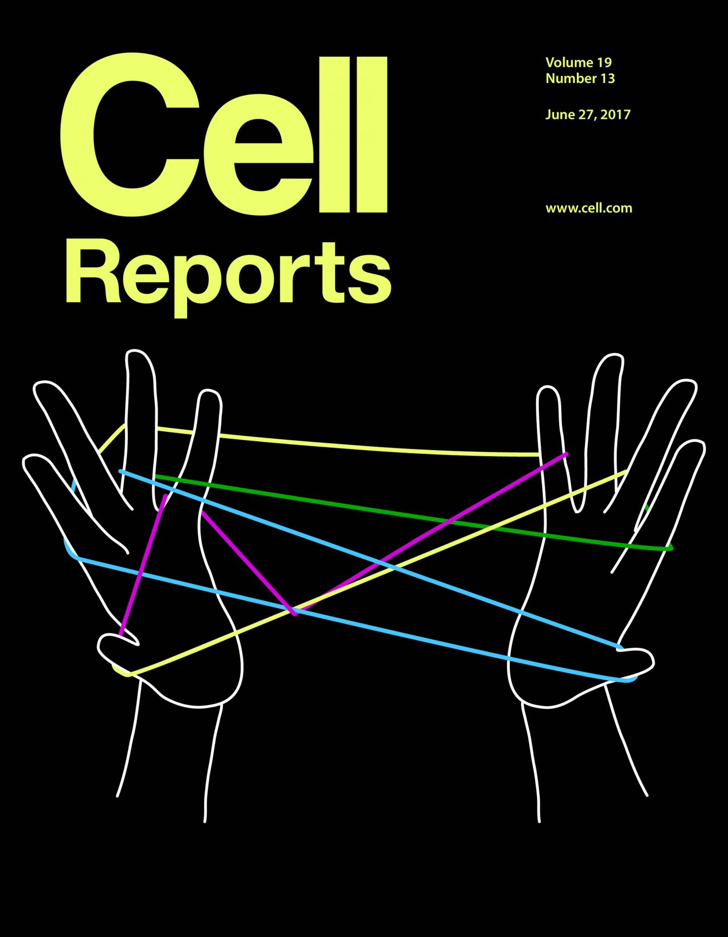 Cell Reports Cover Illustration