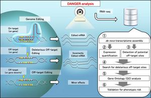 Scheme of safety evaluation by DANGER analysis