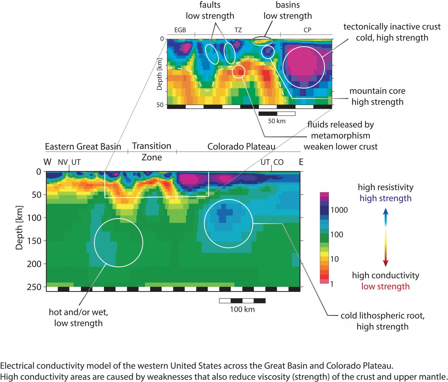 Electrical Conductivity Model of Western United States
