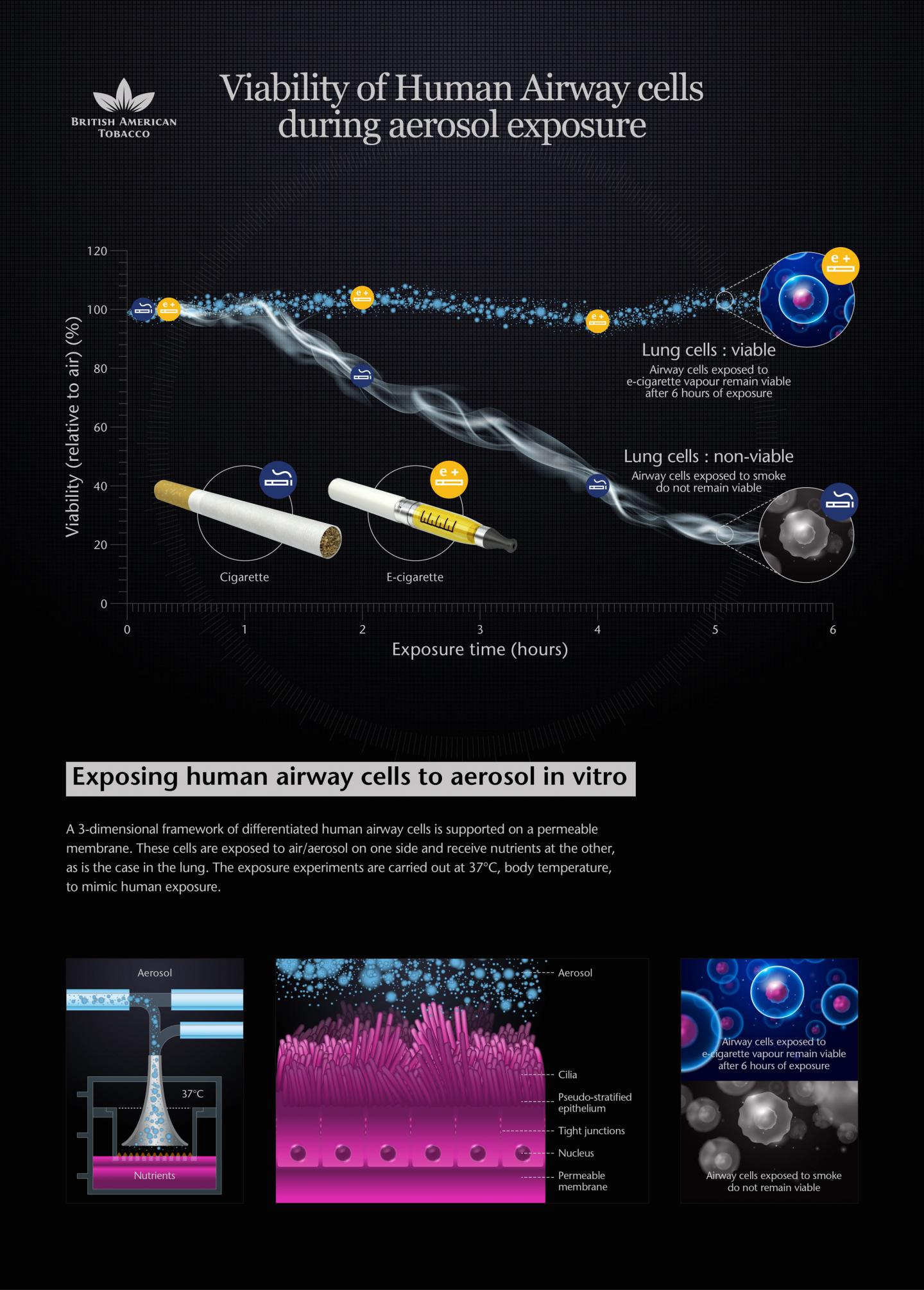 Airway test reveals e cigarette vapor produce EurekAlert