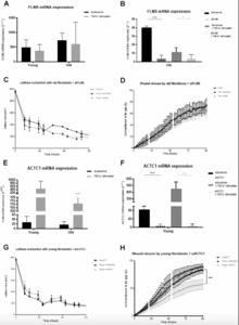 Proteomic and secretomic comparison of young and aged dermal fibroblasts highlights cytoskeleton as a key component during aging