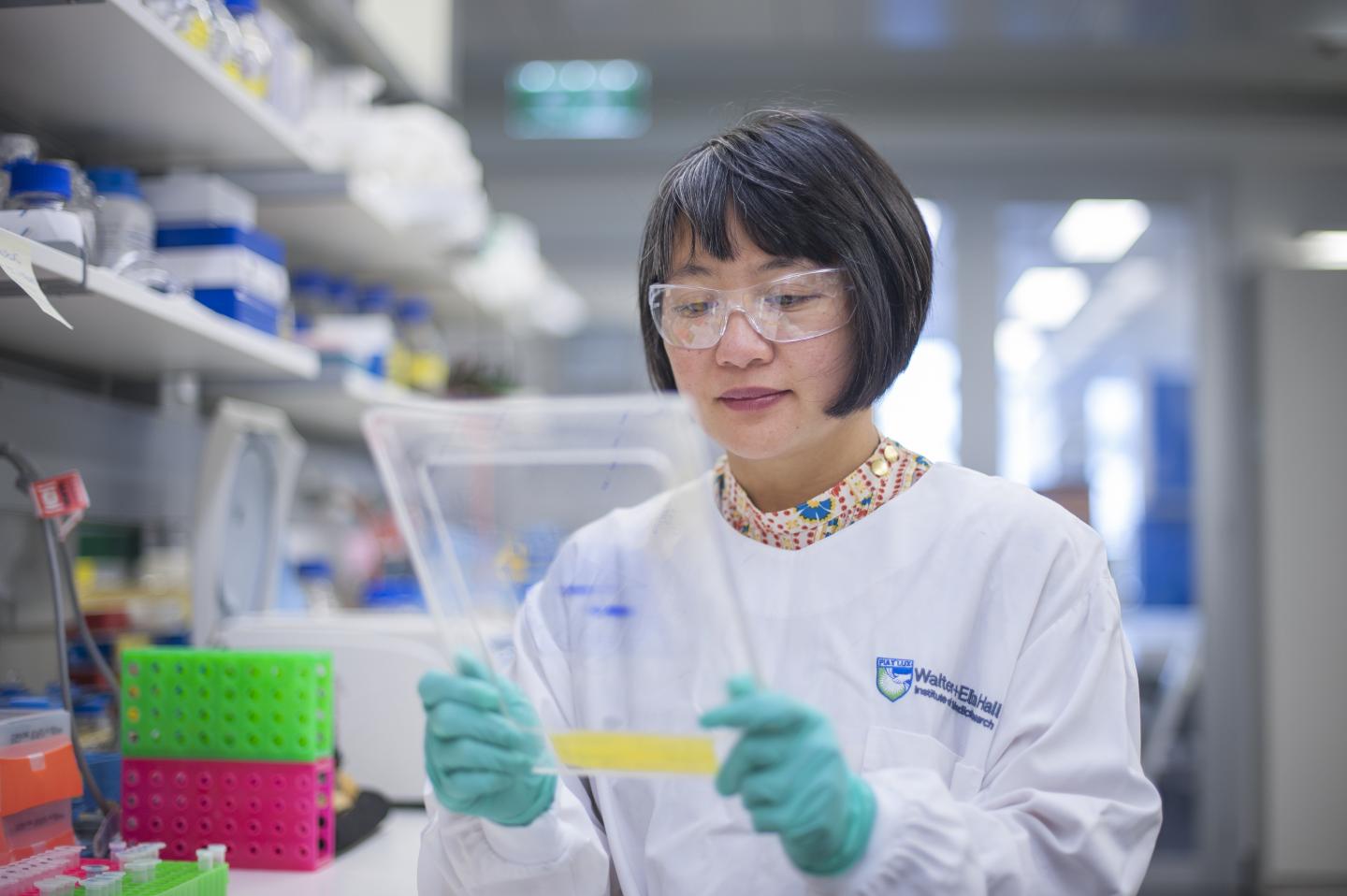 Associate Professor Wai-Hong Tham